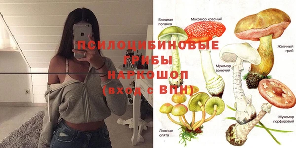 ГАЛЛЮЦИНОГЕННЫЕ ГРИБЫ Алексеевка