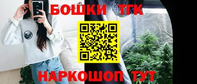 стаф Донской