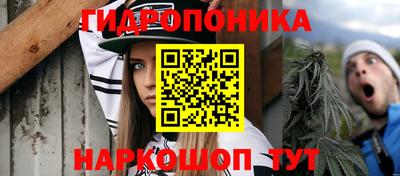 СК Гусь-Хрустальный