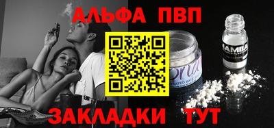 стаф Донской